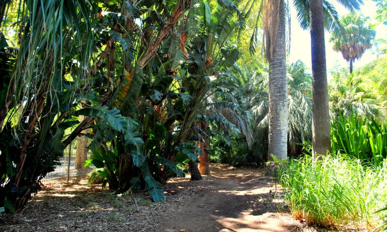Free stock image of Green Garden created by Robert Priest