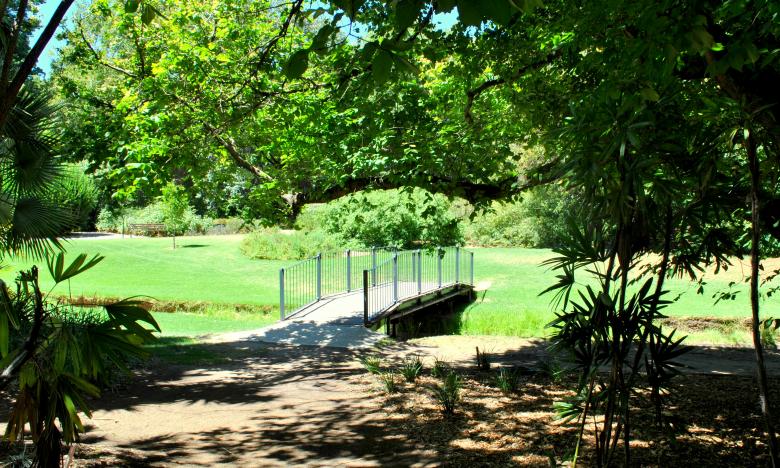 Free stock image of Garden created by Robert Priest
