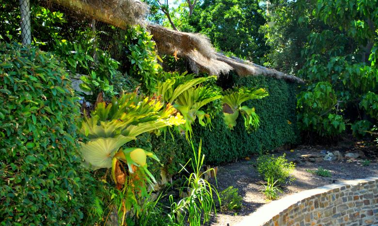 Free stock image of Garden created by Robert Priest