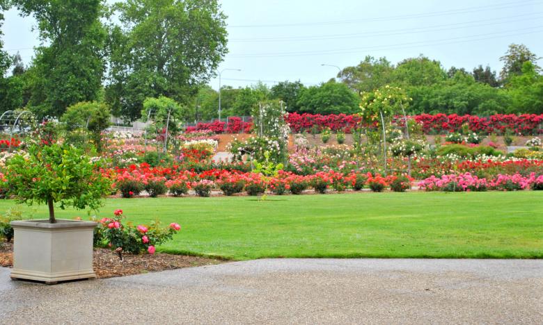 Free stock image of Garden Lanscape created by Robert Priest