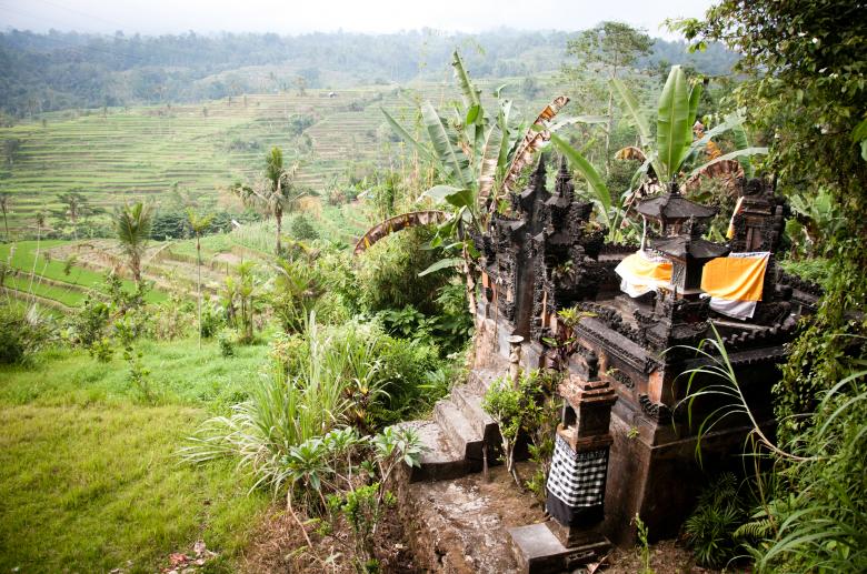 Free stock image of Ricefields and temple created by Luka