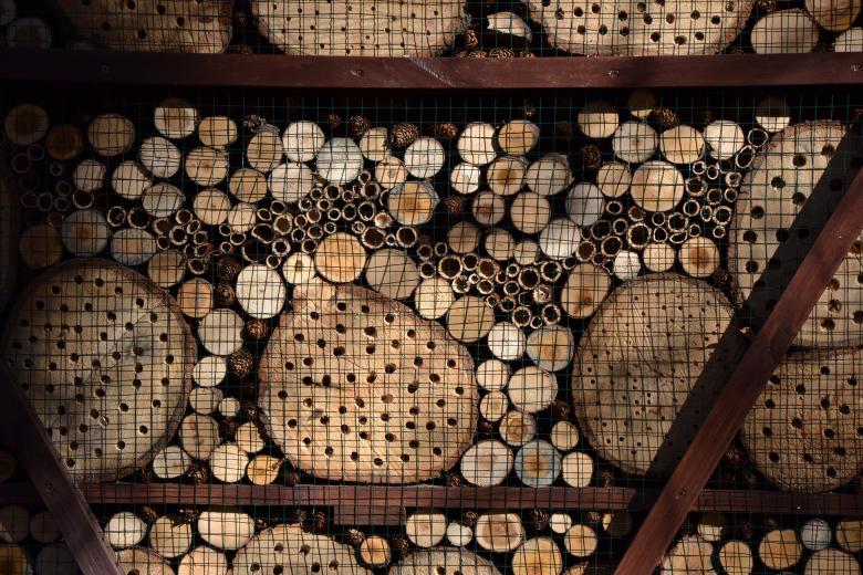 Free stock image of Bug house created by Tomas Adomaitis
