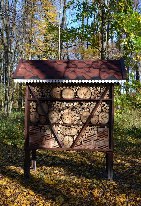 Free stock image of Bug house created by Tomas Adomaitis
