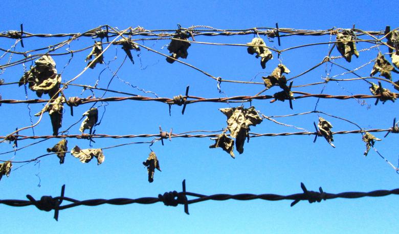 Free stock image of Rusty barbed wire created by Galayanee
