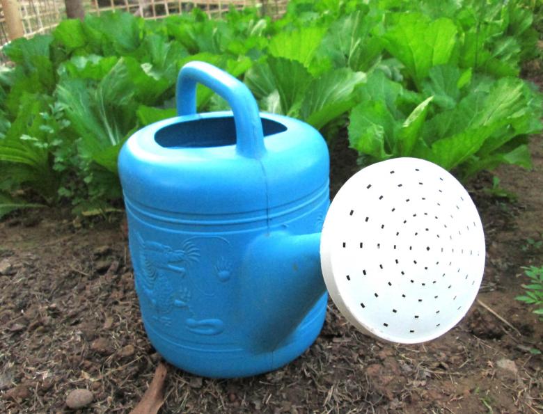 Free stock image of Watering with vegetable created by Galayanee