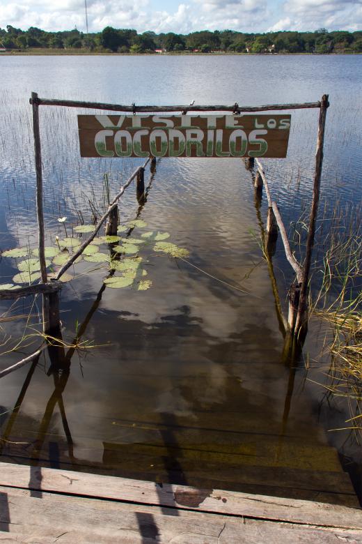 Free stock image of Crocodiles created by Geoffrey Whiteway