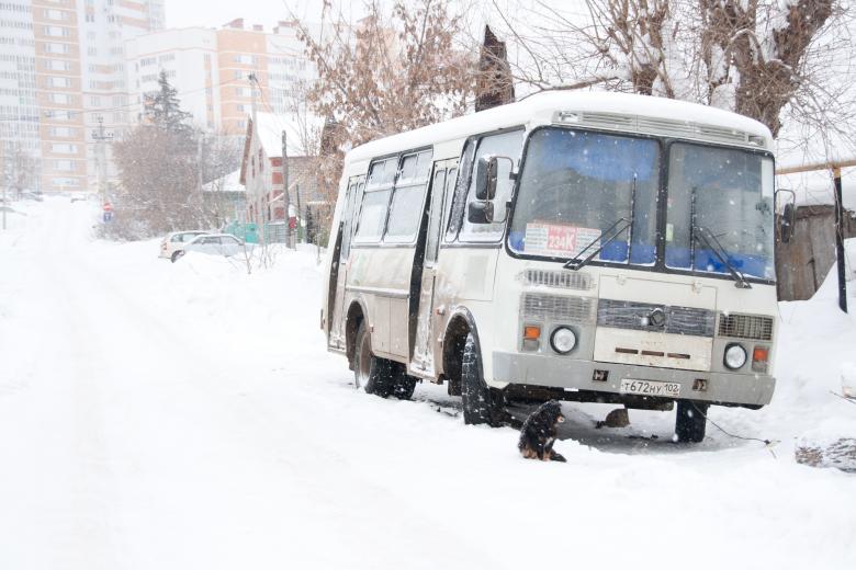 Free stock image of Bus and dog created by 2happy