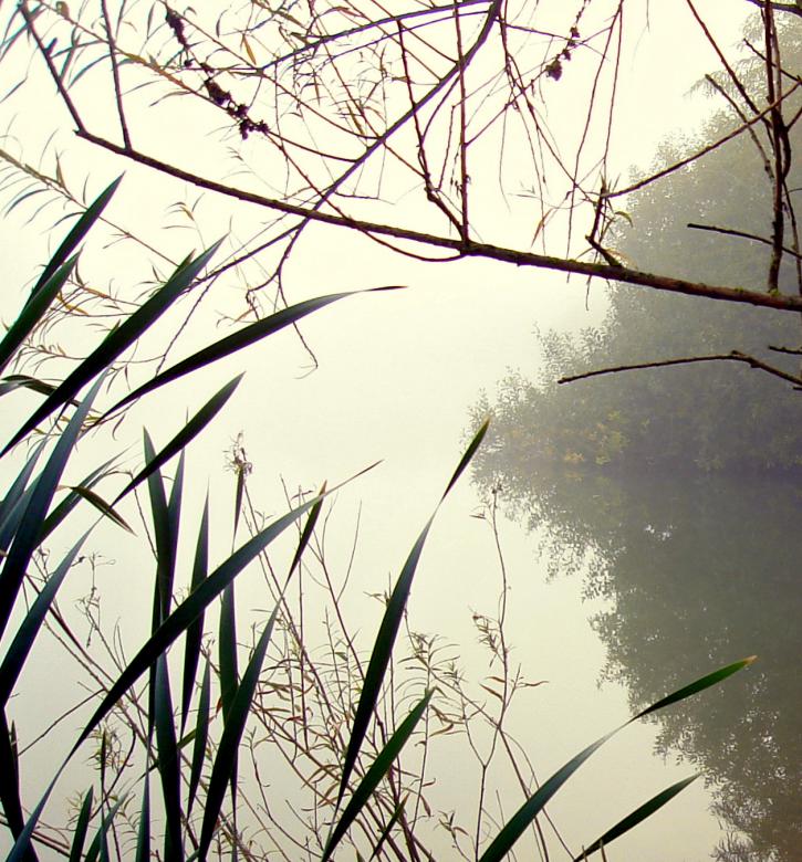Free stock image of Winter Reflection created by Kate Towers 