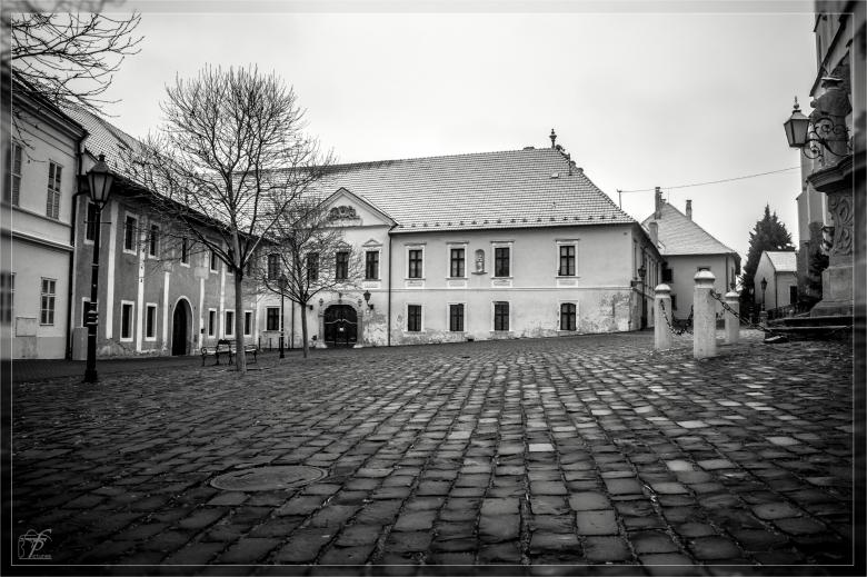 Free stock image of Pictures from Trnava Town created by Frantisek Pech