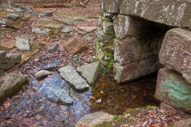 Free stock image of Forest Ruins - HDR created by Nicolas Raymond