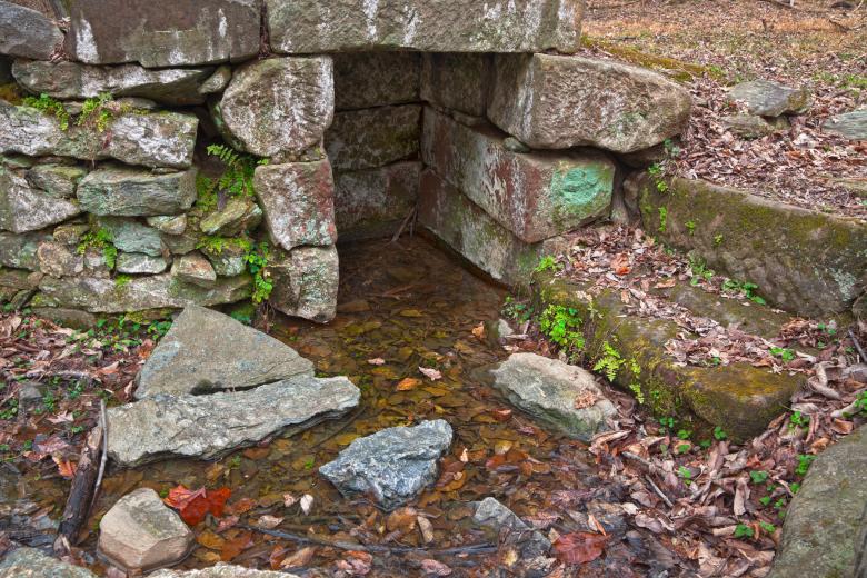 Free stock image of Forest Ruins - HDR created by Nicolas Raymond