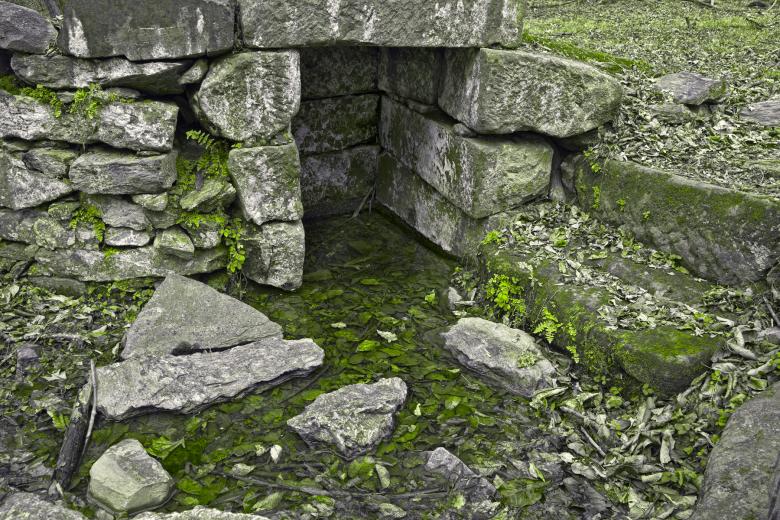 Free stock image of Organic Ruins - HDR created by Nicolas Raymond