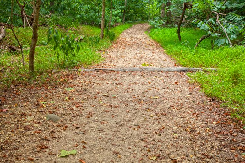 Free stock image of Great Falls Forest Trail - HDR created by Nicolas Raymond