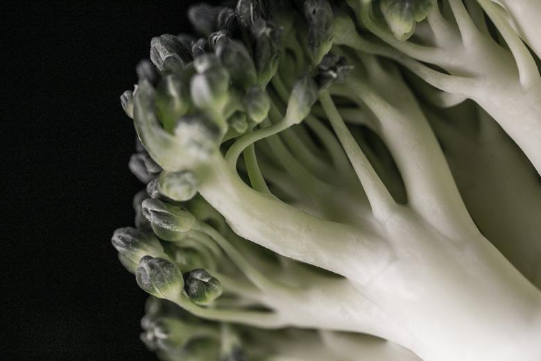Free stock image of Organic broccoli background created by François