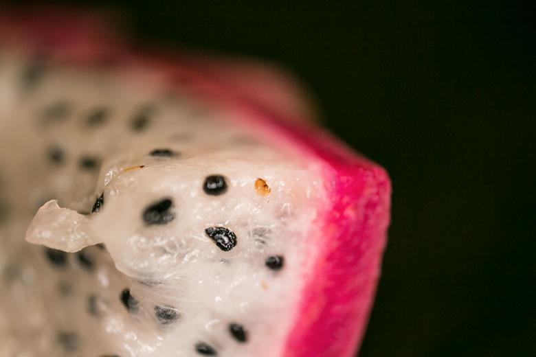 Free stock image of Lush Organic background created by François