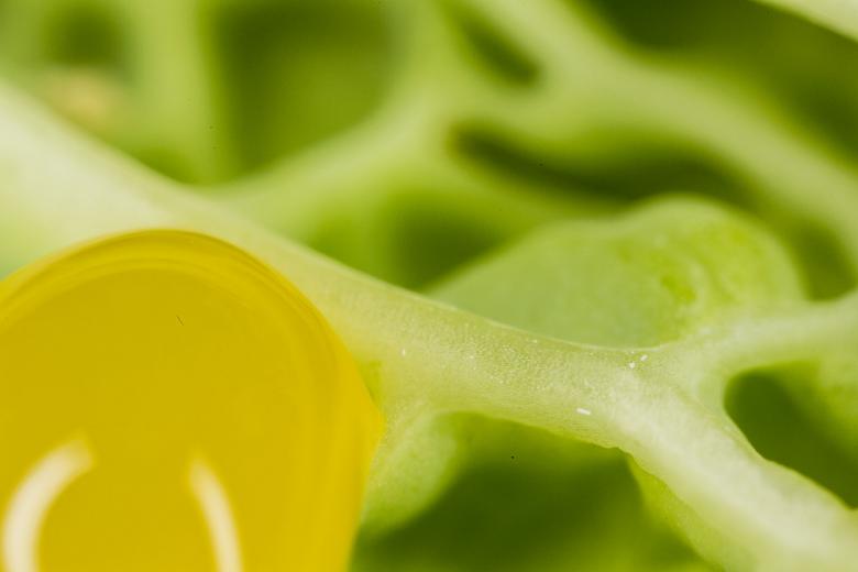 Free stock image of Fruit Macro Background created by François