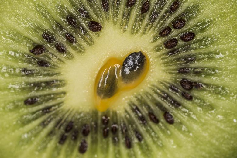 Free stock image of Kiwi Fruit Close-up created by François