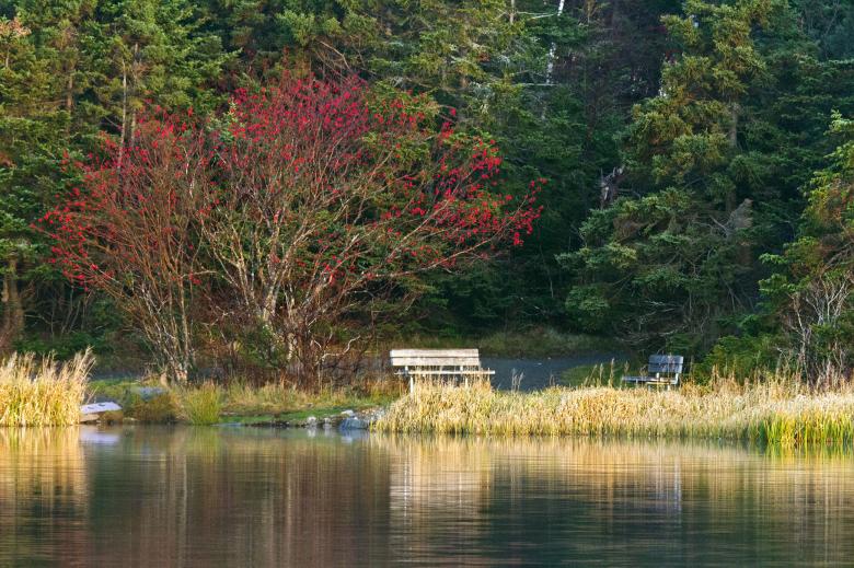 Free stock image of Lake reflection created by Geoffrey Whiteway