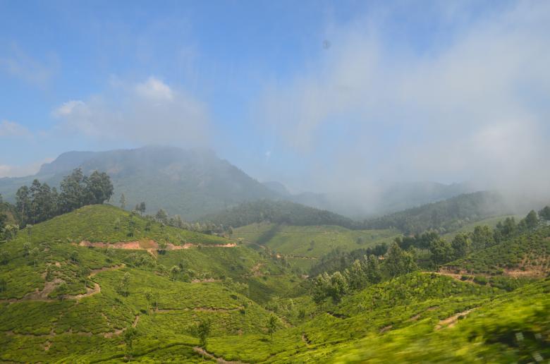 Free stock image of Munnar Hill Station created by Ramanathan Veerappan