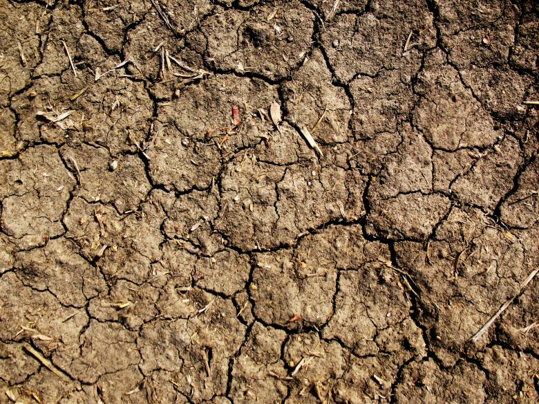 Free stock image of Cracked Mud Texture created by Free Texture Friday