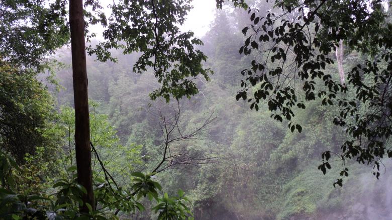 Free stock image of Waynad Hill Station created by Ramanathan Veerappan