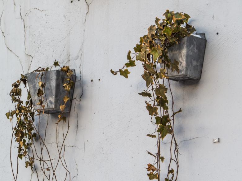 Free stock image of Flowerpots  created by Janis Urtans