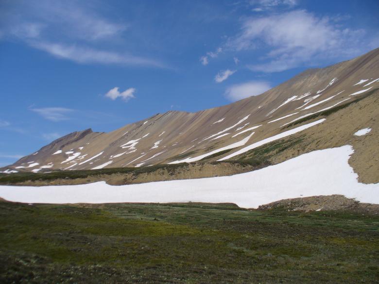 Free stock image of Alpine Meadows created by Dane Argan