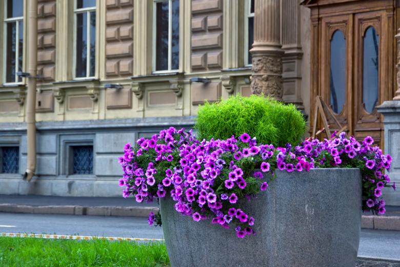 Free stock image of along street in spb created by 2happy