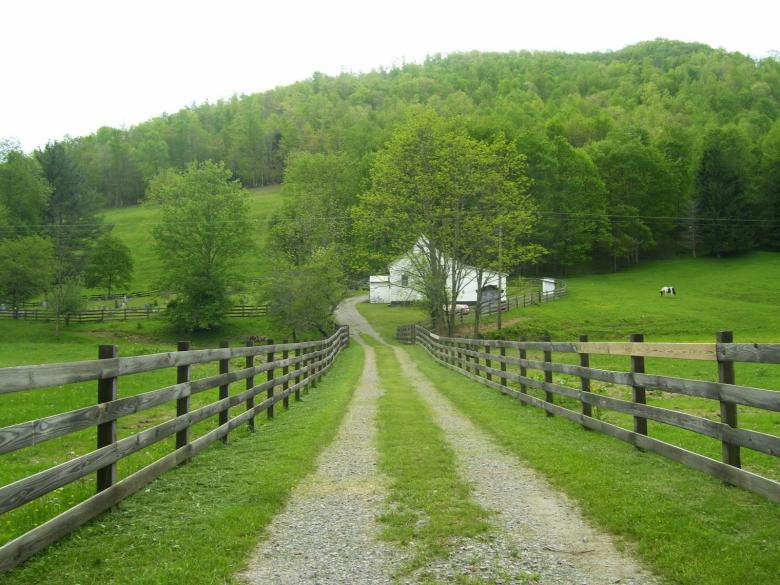 Free stock image of Going To The Chapel created by Nature Girl