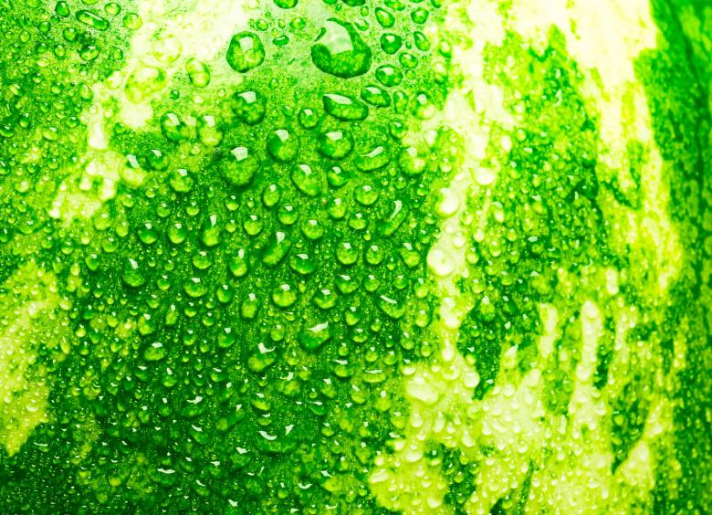Free stock image of Watermelon background created by 2happy