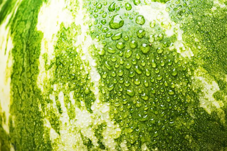 Free stock image of Watermelon background created by 2happy