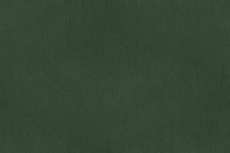 Free stock image of Campo Leather created by Sørensen Læder