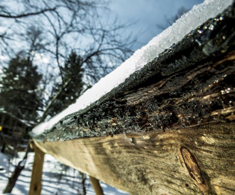 Free stock image of Thaw created by Janis Urtans