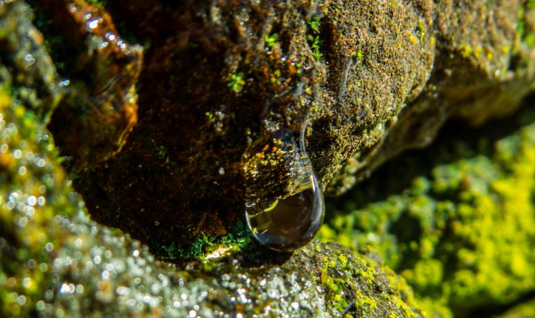 Free stock image of Nature beauty created by Janis Urtans