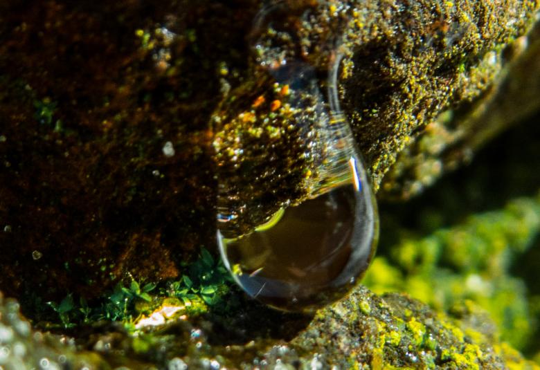 Free stock image of Nature beauty created by Janis Urtans