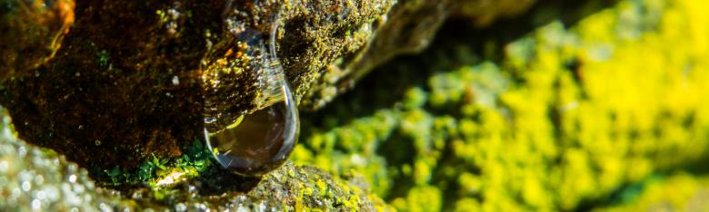 Free stock image of Nature beauty created by Janis Urtans