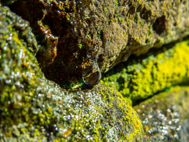 Free stock image of Nature beauty created by Janis Urtans