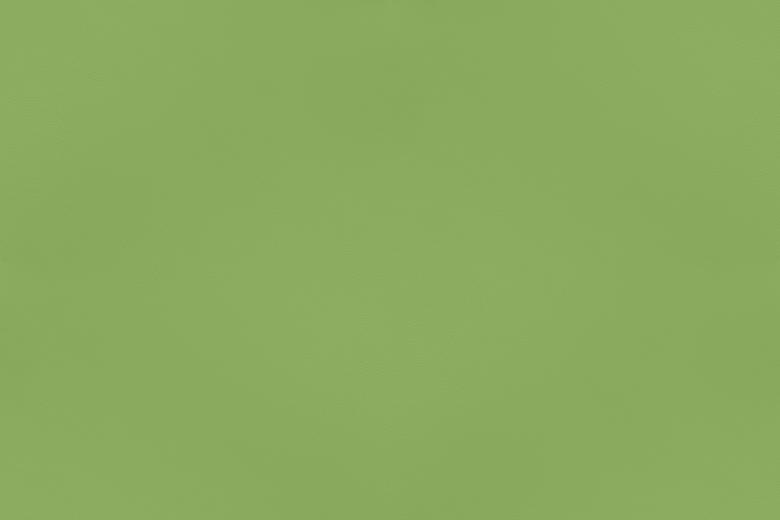 Free stock image of Green Senegal Leather created by Sørensen Læder