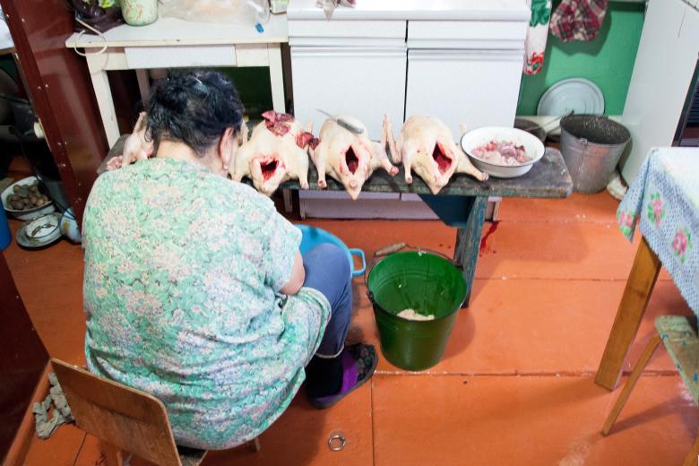 Free stock image of Woman cooks geese created by 2happy