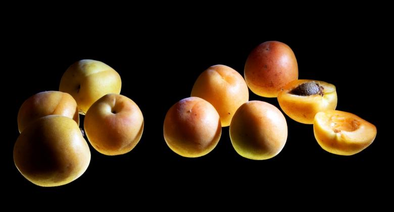 Free stock image of Apricots created by 2happy