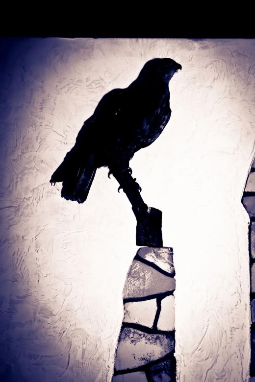 Free stock image of Bird silhouette created by 2happy