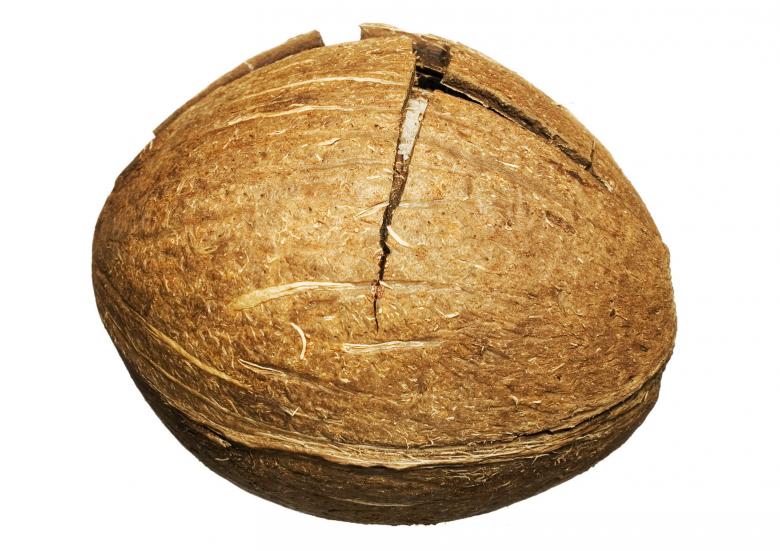 Free stock image of Coconut created by 2happy