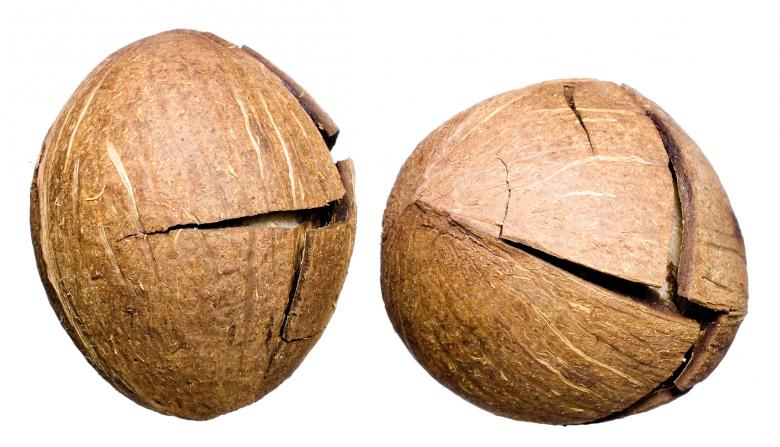 Free stock image of Coconuts created by 2happy