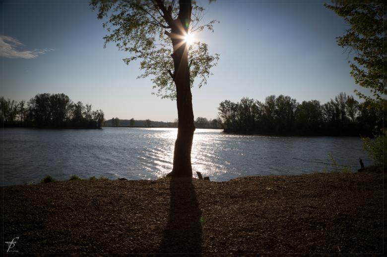 Free stock image of Evening about the Lake created by Frantisek Pech