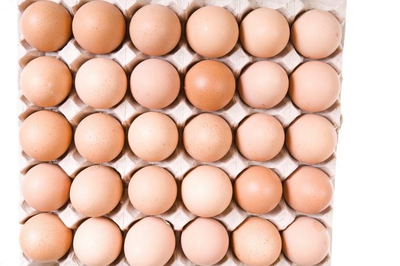 Free stock image of Eggs created by 2happy