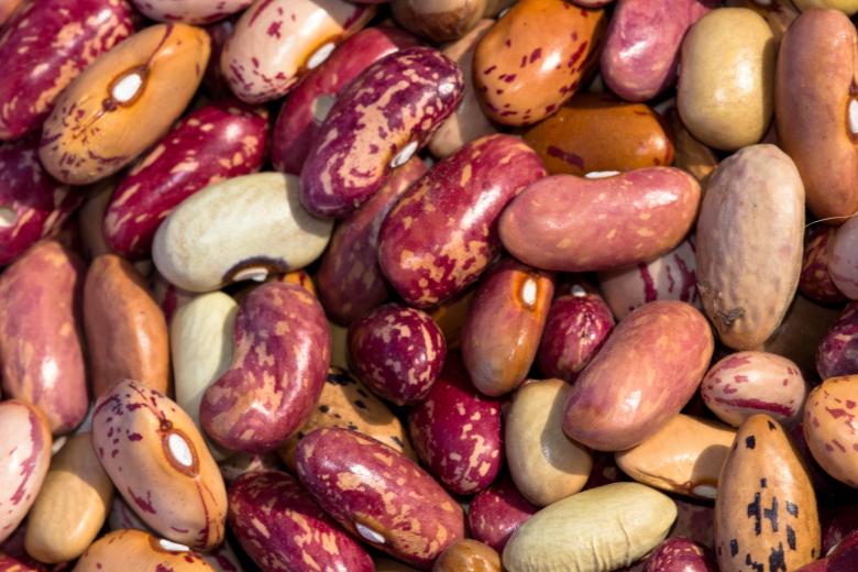 Free stock image of Beans created by Alen