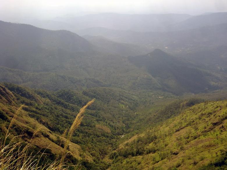 Free stock image of Green Valley View created by Tona sam