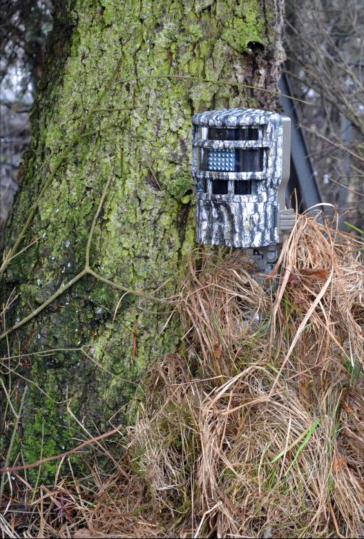 Free stock image of Game camera created by Tomas Adomaitis