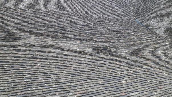 Small rock texture - Free Stock Photo
