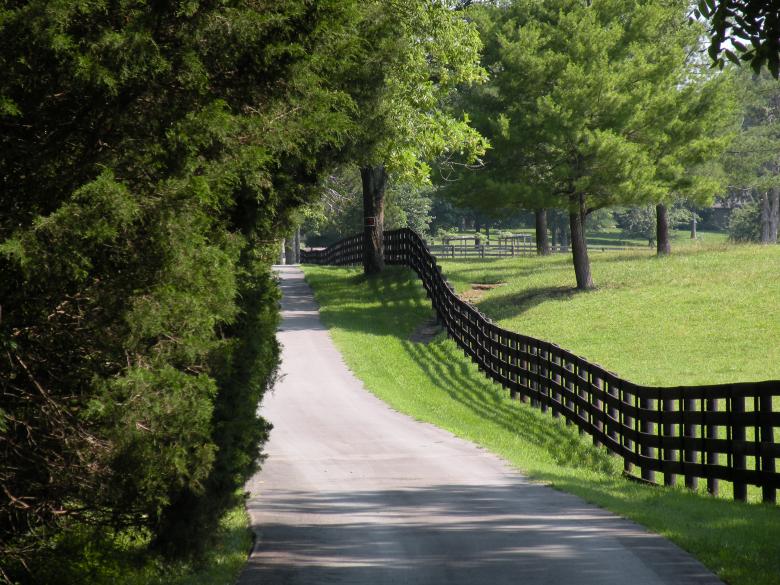 Free stock image of Country Road & Fence created by Katie Hildreth